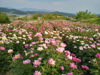 지희농장