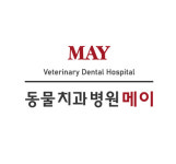 동물치과병원메이