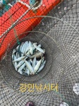 원전강민해상낚시터