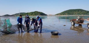 두서어촌 갯벌체험마을