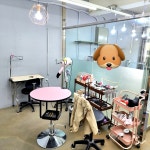 멍멍펫살롱