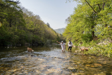 몬티첼로펜션
