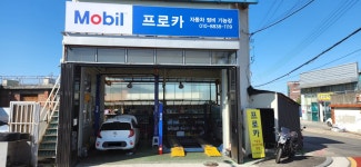 프로카정비