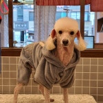 몽실몽실펫살롱