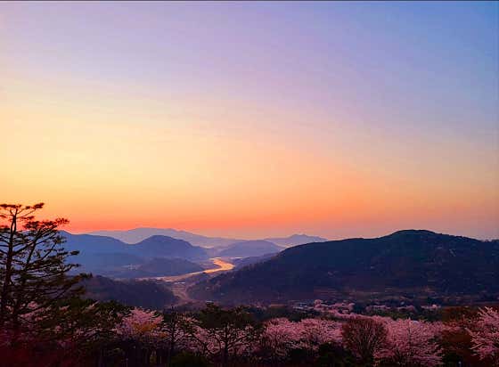 방목리 카페 사진