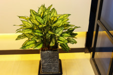 대운공인중개사사무소