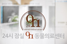 24시잠실ON동물의료센터