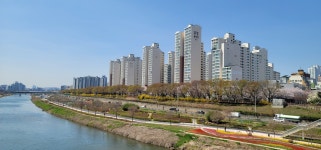 부동산박사공인중개사사무소