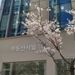 부동산시월공인중개사사무소
