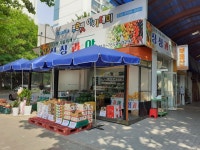 싱싱과야