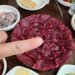 영천생고기육회
