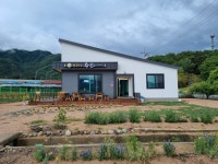 전통찻집수인