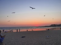 꽁꽁삼겹살차돌배기