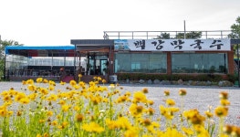 백강막국수