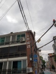 소망빌라