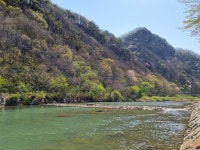 숲 펜션 캠핑장