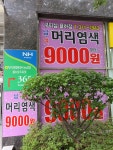 구피샵 김해율하점
