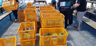 담양물류 전남83바2382