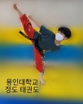 용인대정도태권도