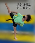 용인대정도태권도
