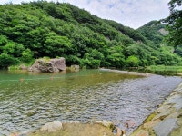 숲 펜션 캠핑장