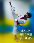 용인대정도태권도