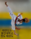 용인대정도태권도
