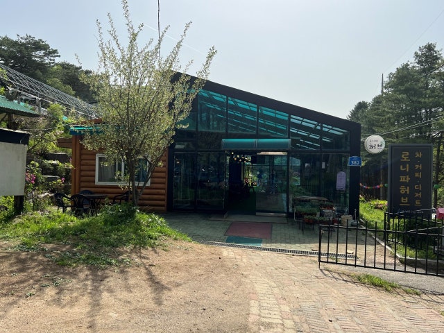 로니파허브 티카페