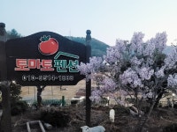 토마토펜션