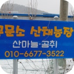구문소산채농장