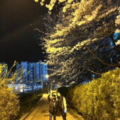 군산지구촌교회