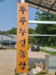 이강학태양광