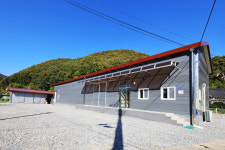 정선약초백화점