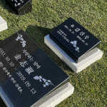그레이스톤
