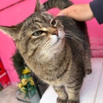 제주공항 게스트하우스 그린데이