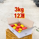 늘 싱그러운, 늘싱