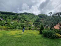 제이트리하우스