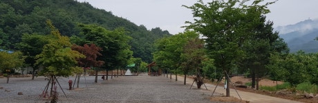 속리산사계절캠핑장