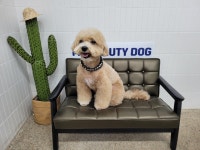 마이뷰티독 강남점