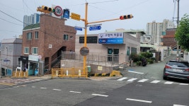 고양이에 정원