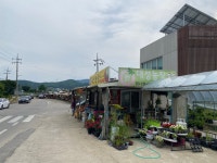 대성농장