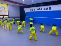 용인대넘버원태권도