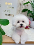 마벨펫 천안점
