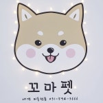 꼬마펫