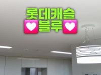 대광전기조명LED