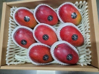 김해도원농원