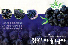 창원아로니아