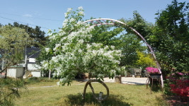 서천 바다향기펜션