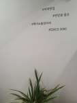 벨리아르가 헤어 & 붙임머리