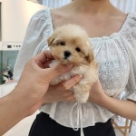 댕 스마일